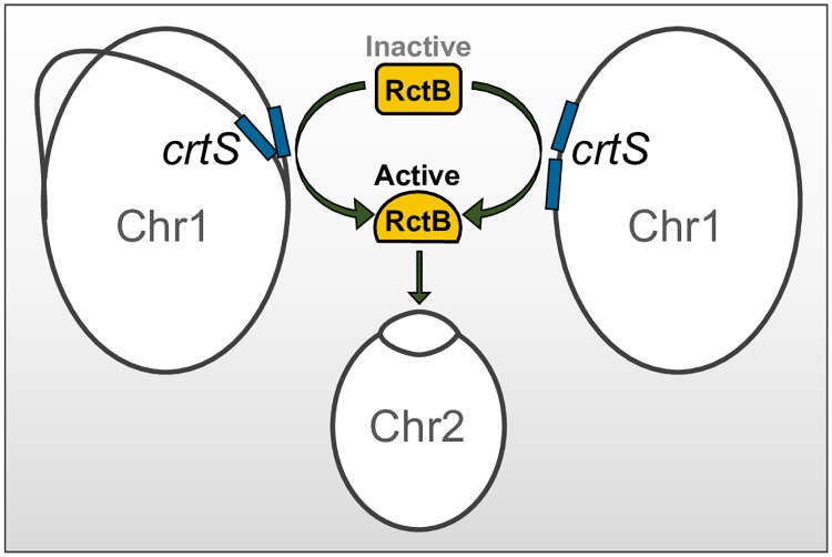 Fig 8