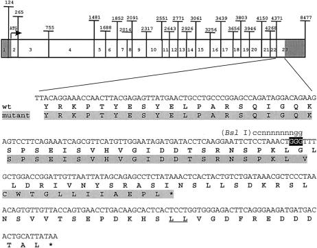 Figure  2