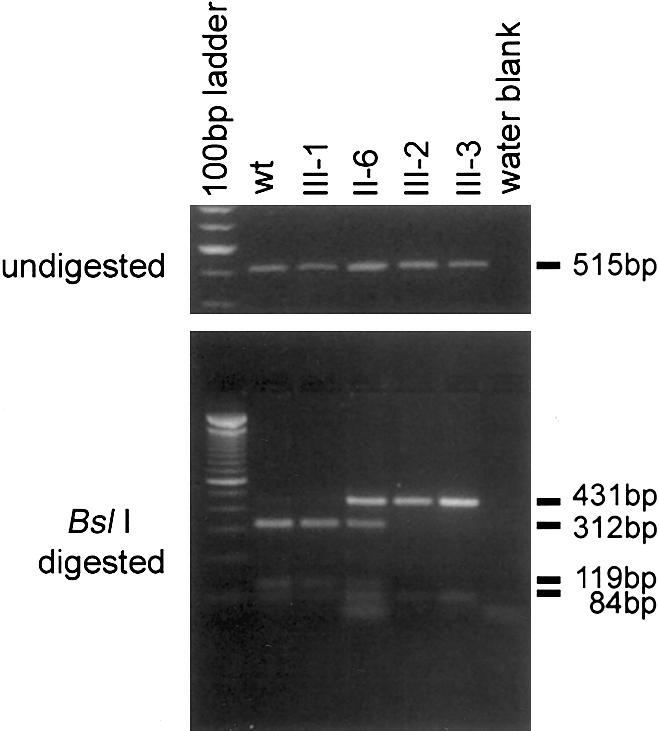 Figure  3