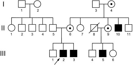 Figure  1