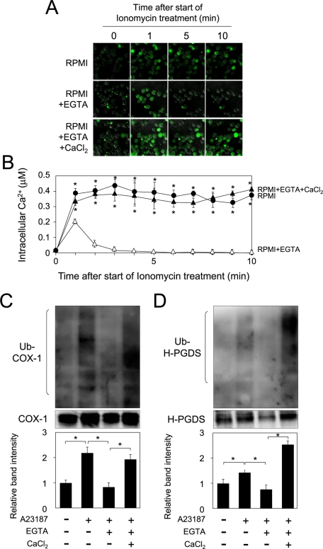 FIGURE 6: