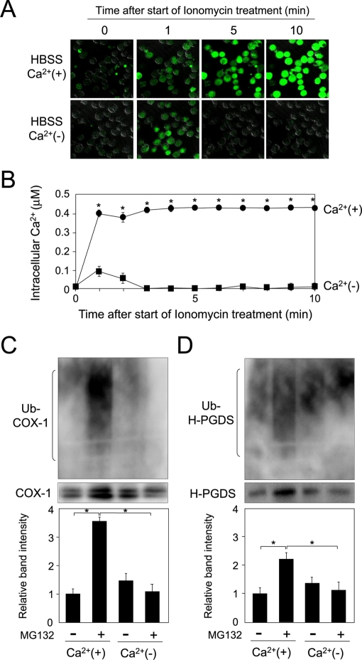 FIGURE 7: