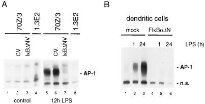 FIG. 4.