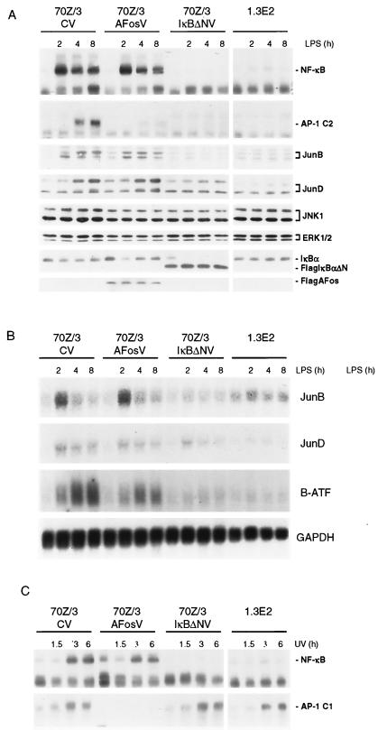 FIG. 6.