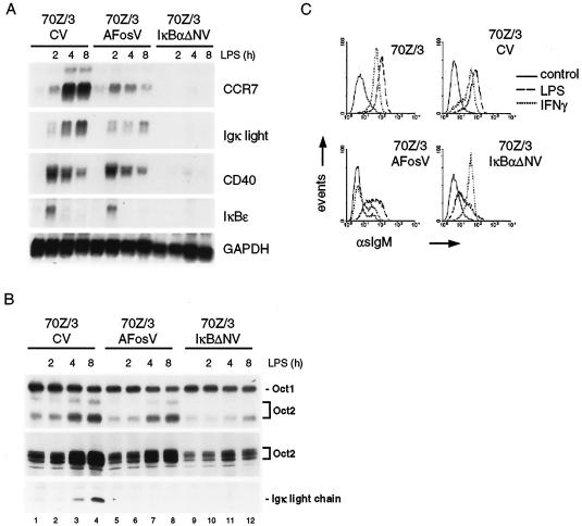 FIG. 7.