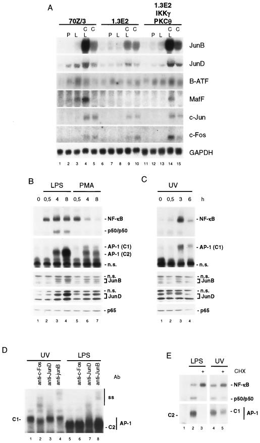 FIG. 5.