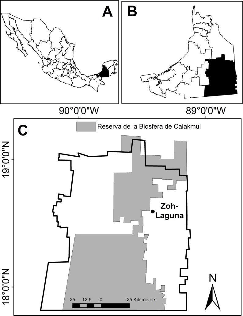 Fig 1