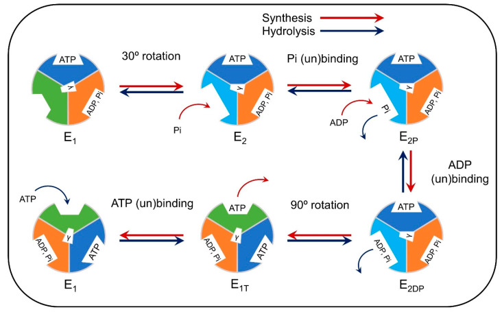 Figure 7