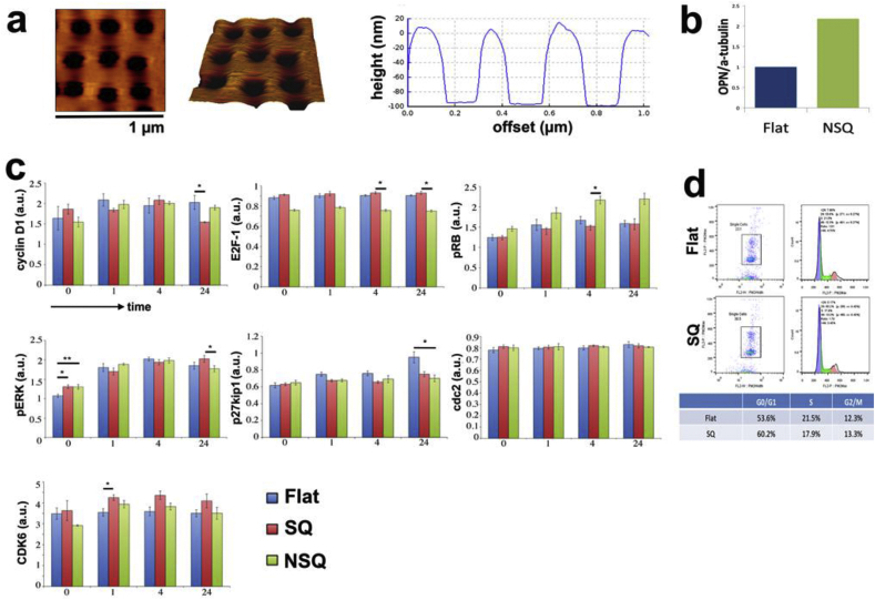 Fig. 3