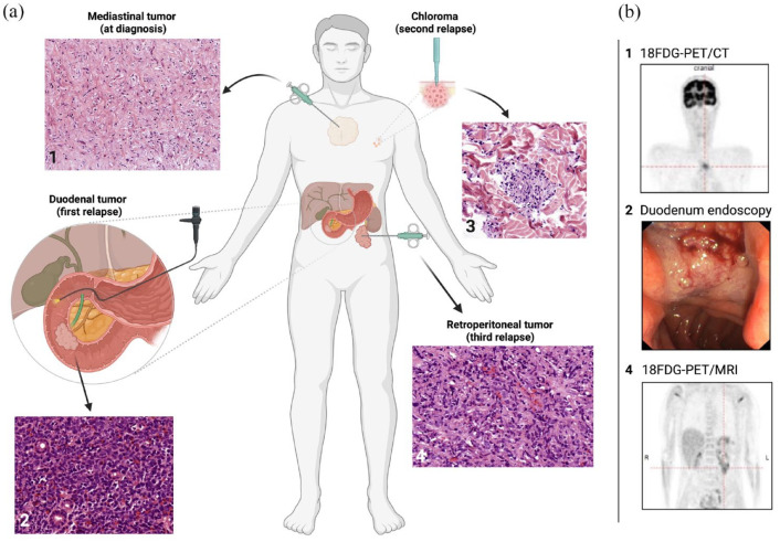 Figure 2.