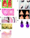 FIG. 5.