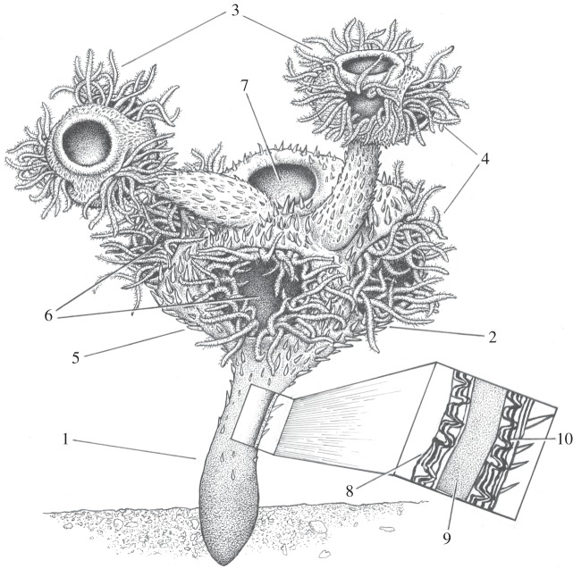 Figure 4.