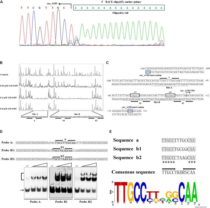 FIGURE 4