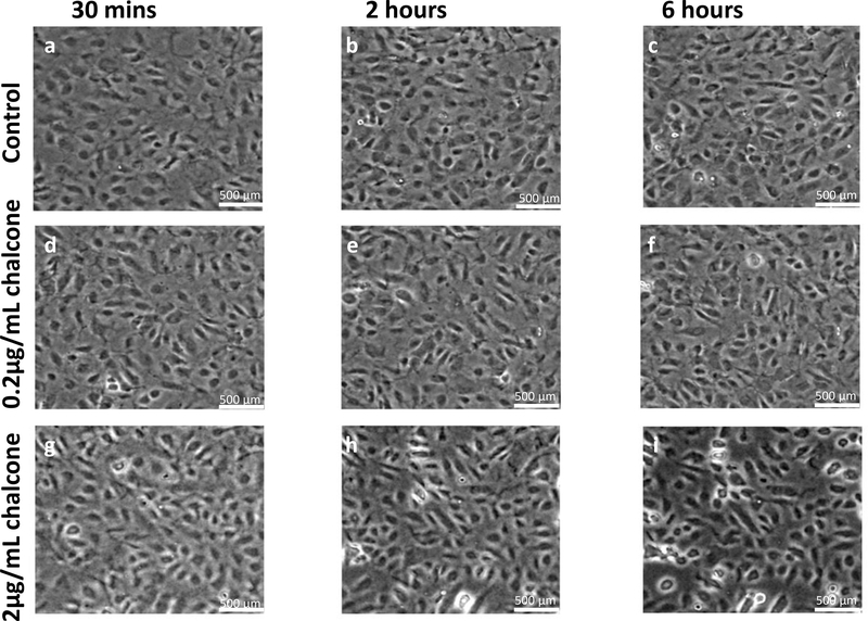 Figure 2: