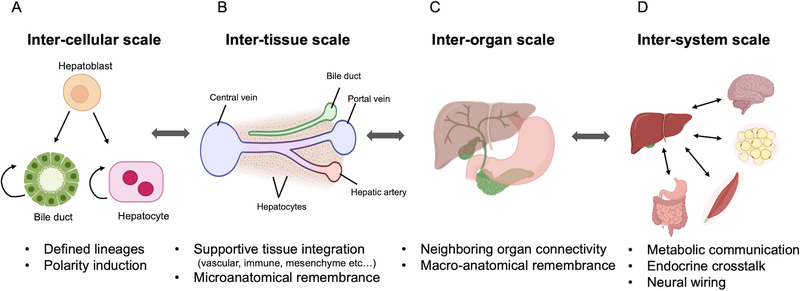 Figure 5: