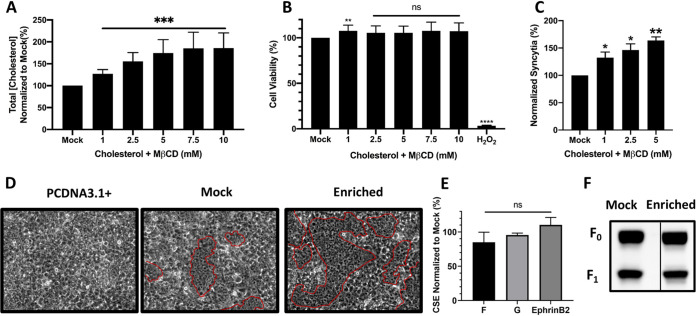 FIG 2