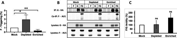 FIG 4