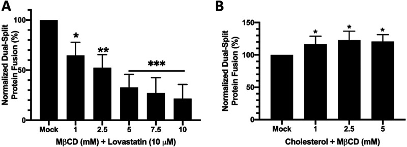 FIG 6