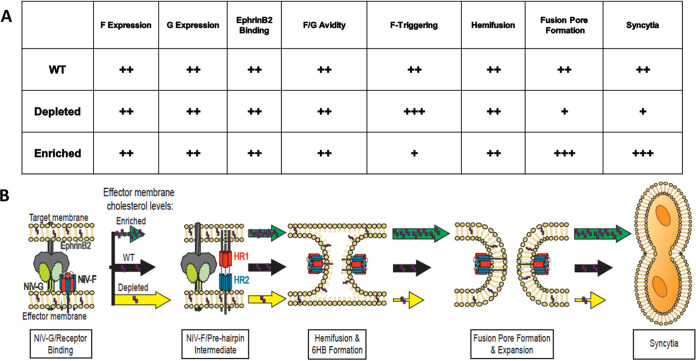 FIG 7