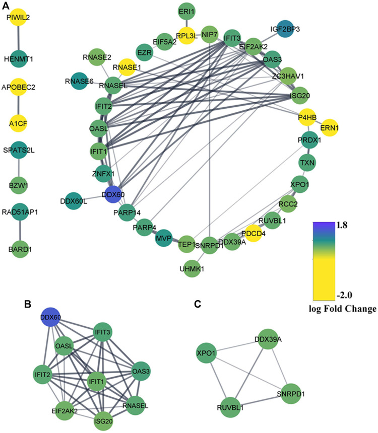 FIGURE 4