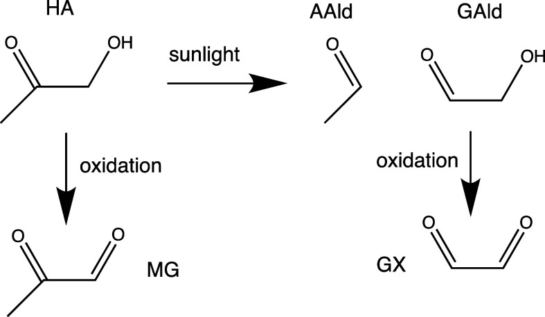 Scheme 2