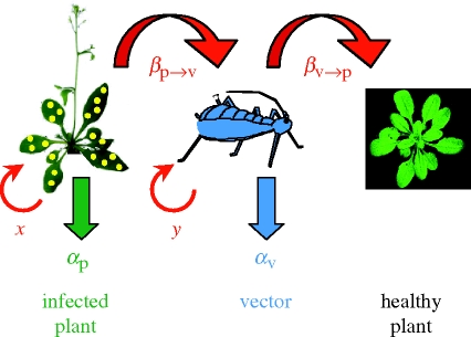 Figure 1.