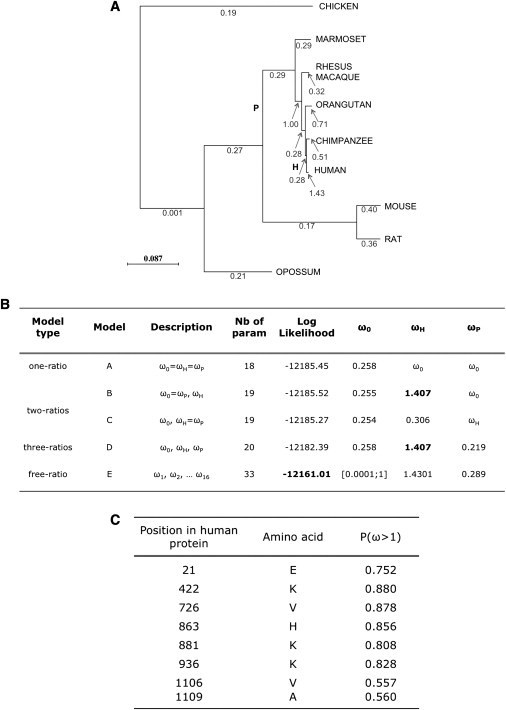 Figure 7