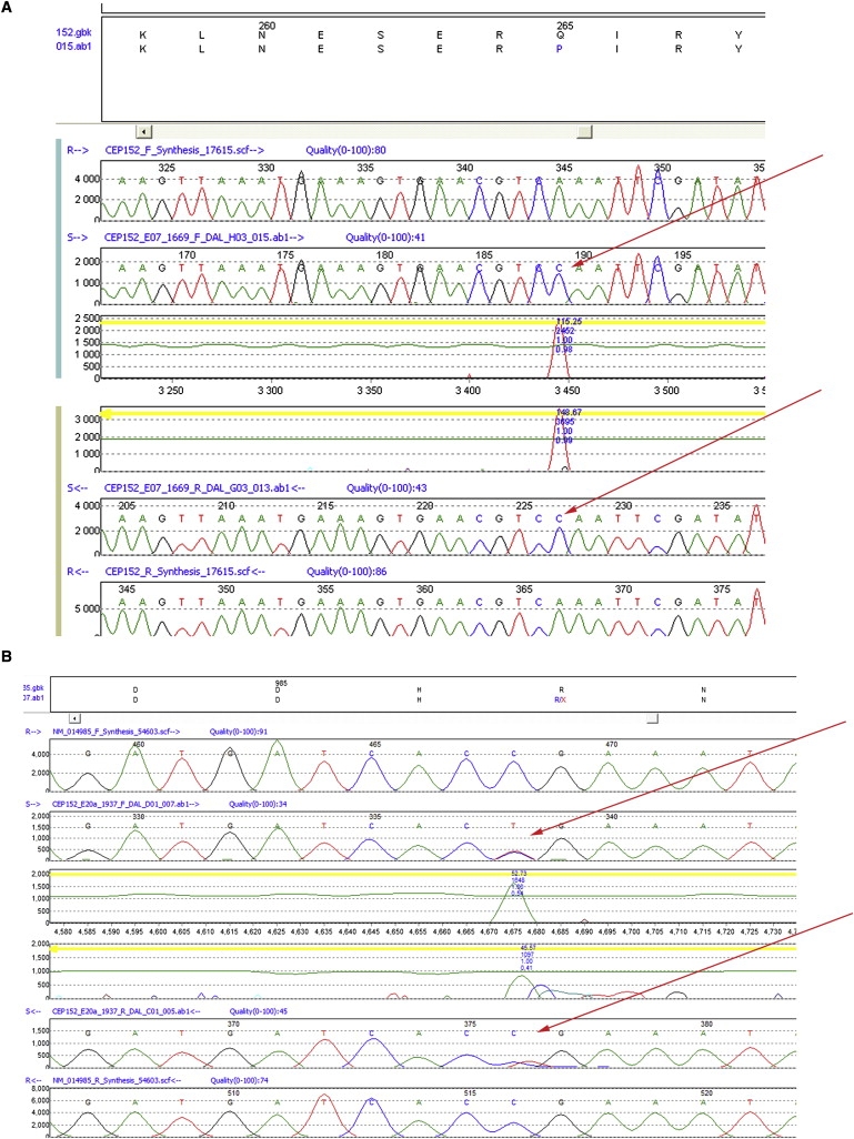 Figure 3