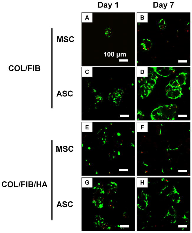 FIGURE 3