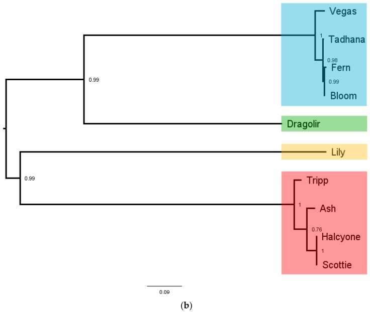 Figure 10