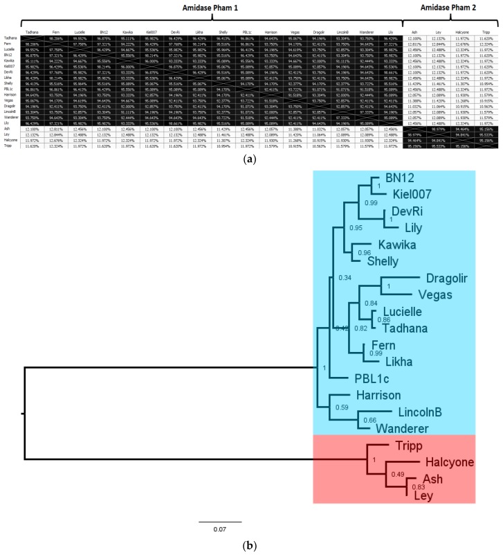 Figure 13