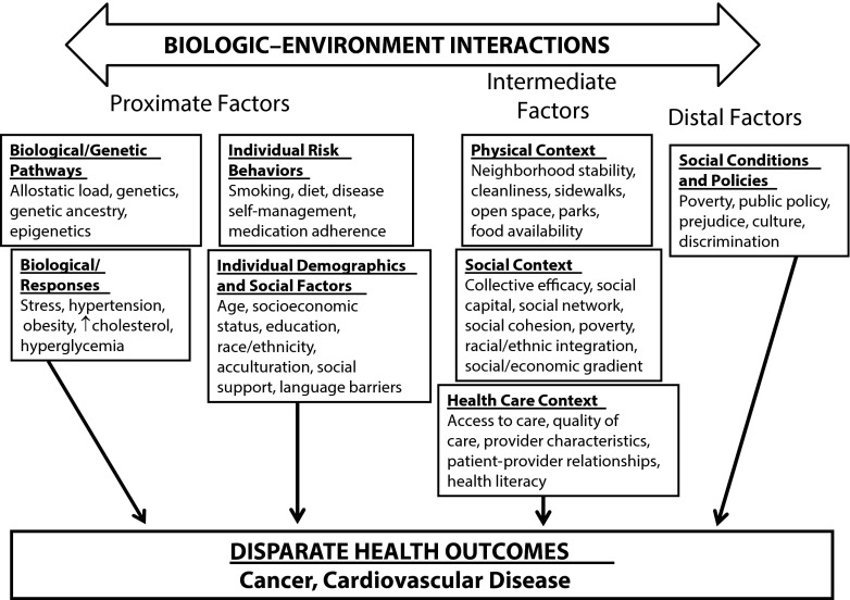 FIGURE 2—