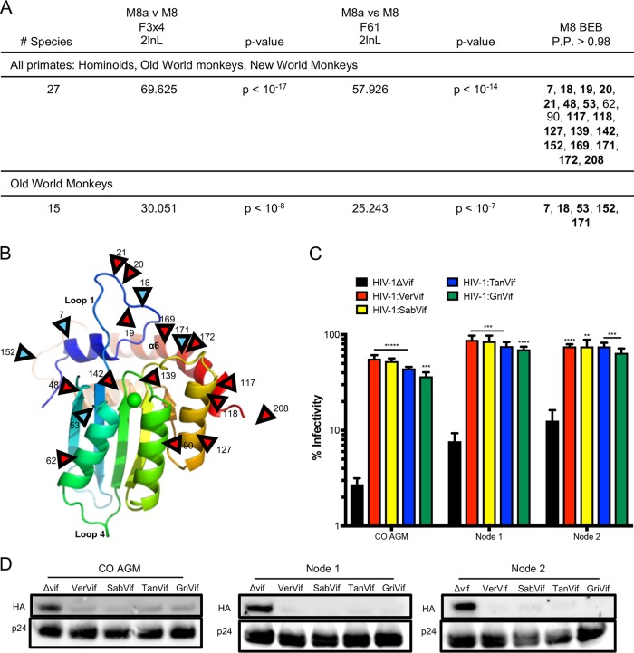 FIG 6