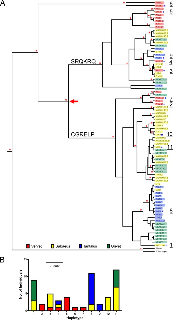 FIG 1