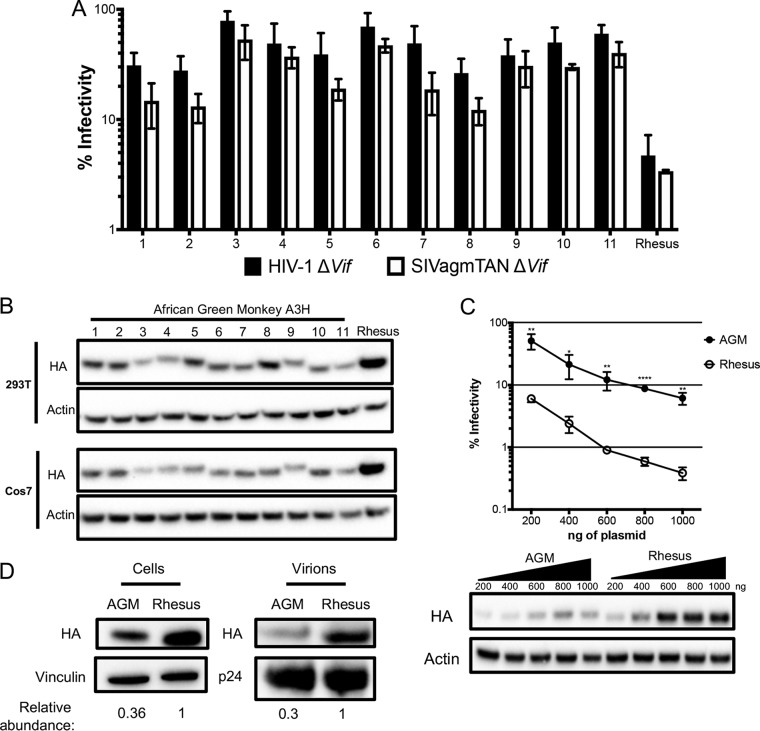 FIG 2