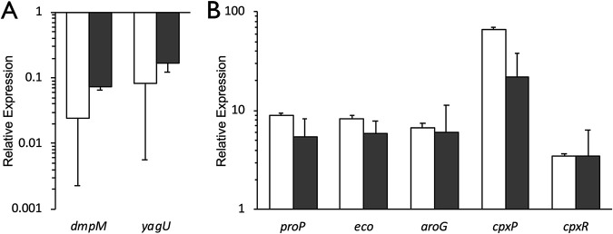 FIG 2