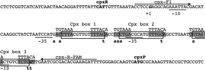 FIG 7