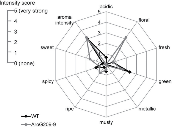 Fig. 5.