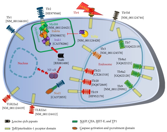 Figure 1