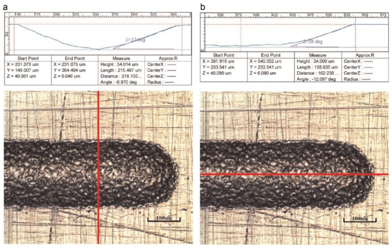 Figure 31