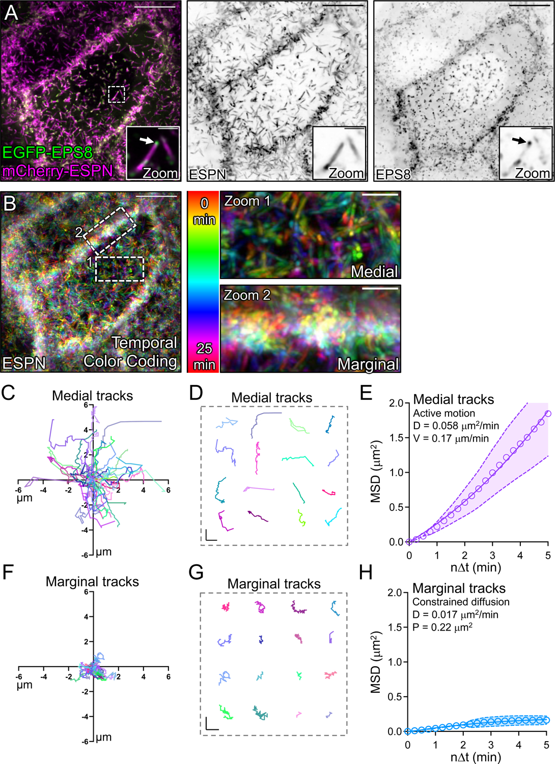 Figure 3: