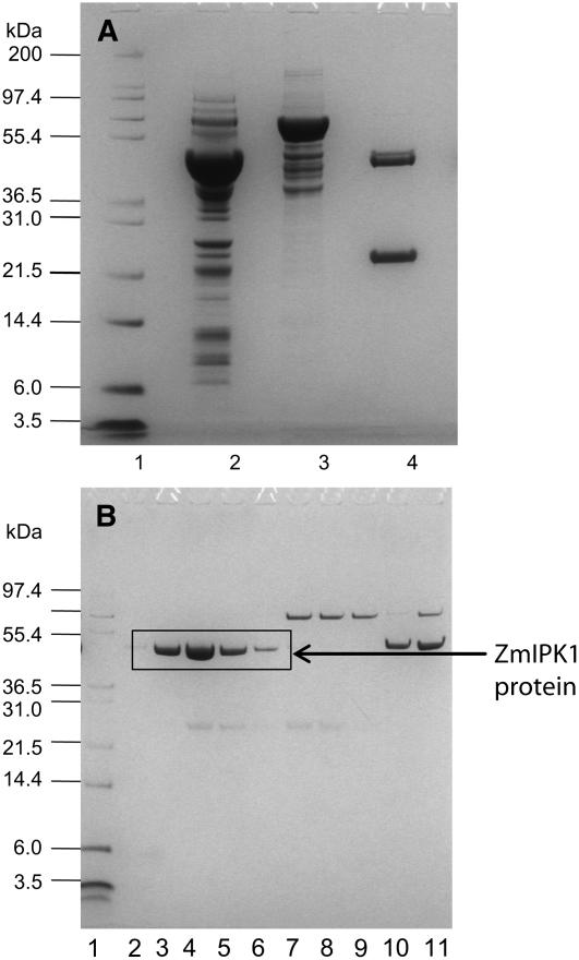 Figure 7.