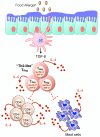 Fig 5