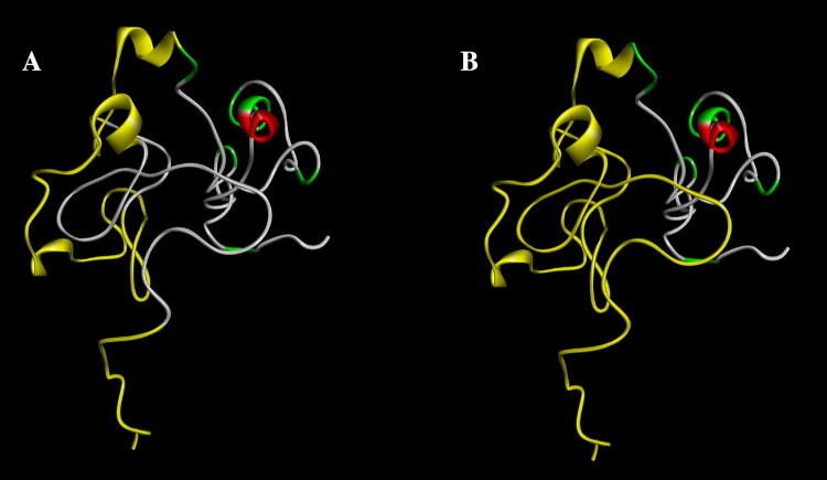 Fig. 10