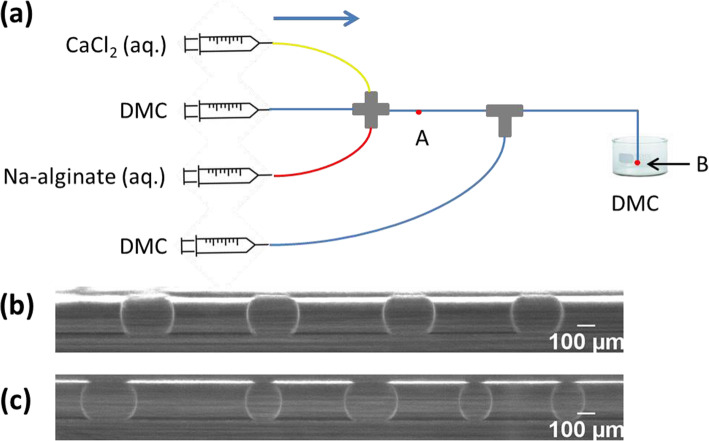 Fig. 8