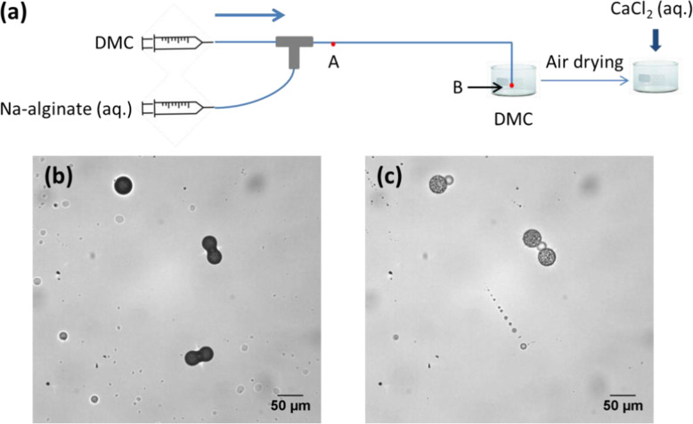 Fig. 20