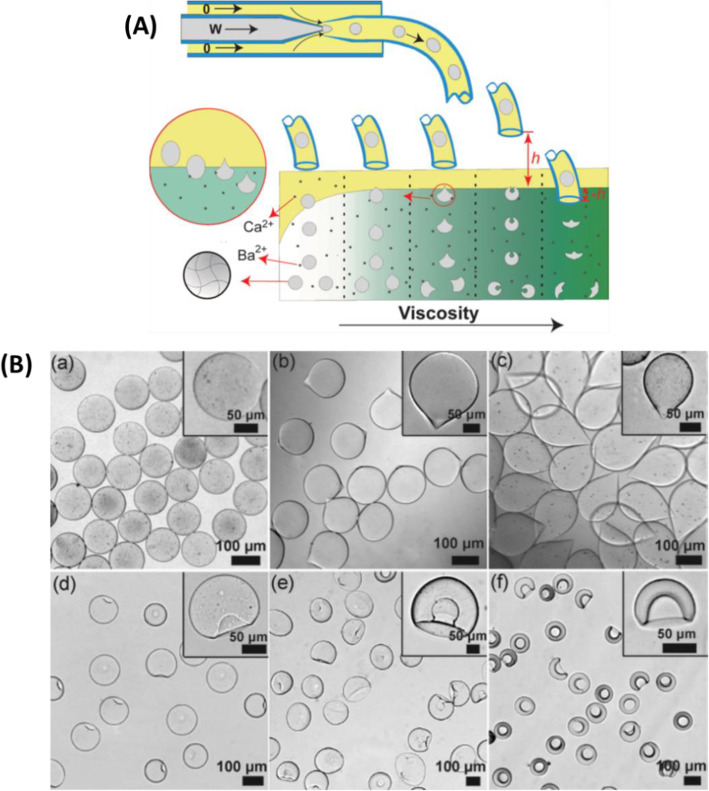 Fig. 18