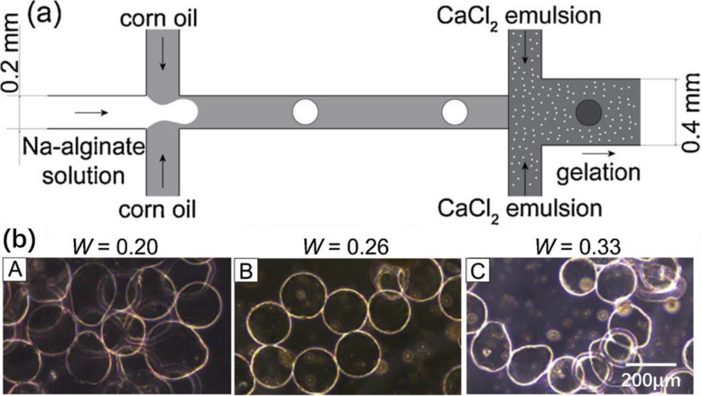 Fig. 16