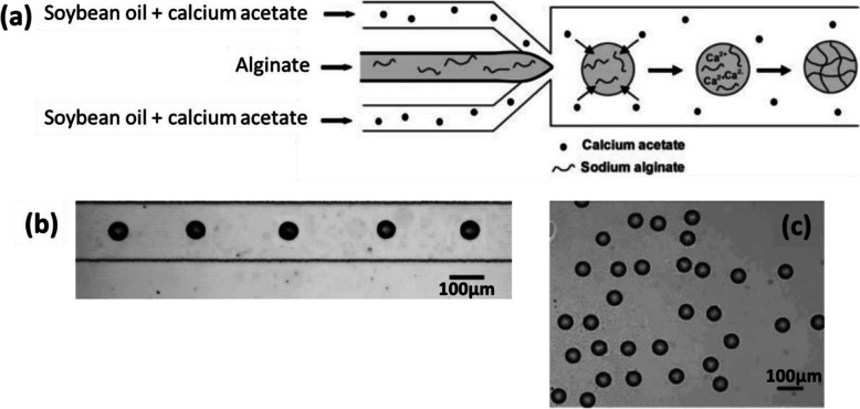 Fig. 15