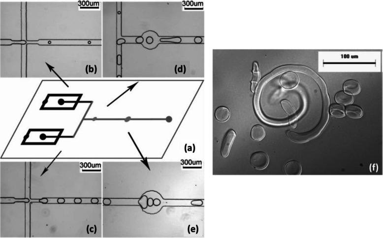 Fig. 10